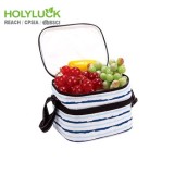 Double Compartments Best Small Insulated Lunch Bag Easy Collapsible Personalized Cooler Bag