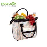 Holy Luck High Quality Cooler Bag Thermal Insulated Food Delivery Bag