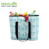 Eco Friendly Foldable Collapsible Grocery Bag Custom Tote Cooler Bag