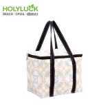 Holy Luck Cute Lunch Box With Bag Foldable Beach Bag With Cooler