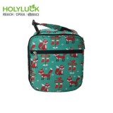 New Arrival Utmost Lightweight Foldable Lunch Picnic Bag The Best Small Cooler Bag For Christmas Gift Ideas 2019