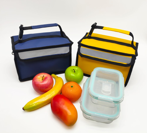 Insulated Folding Lunch Bag for Women Cooler Lunch Box Men Leak Proof Tote with Handle for Work Picnic