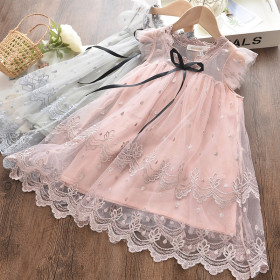 Lovely princess wind children's dress embroidered mesh puff skirt
