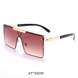 Square modern Sunglasses