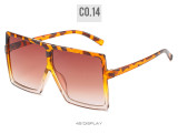 Big box, sunglasses, fashion, colorful, multicolor, sunglasses