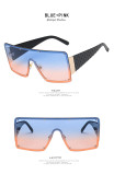 Square, one piece, sunglasses, frameless, glasses, sunglasses