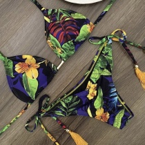 Split, printed, swimsuit, bikini