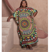 Printed, bat sleeve, round neck, pullover, casual dress