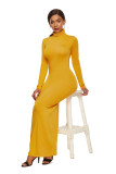 Fashion, solid color, long skirt, long sleeve, elastic, slim, high collar, dress