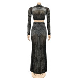 Mesh, perspective, long sleeve, long skirt, two piece set