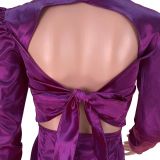Reflective silk, pleated, backless, dress