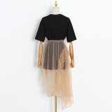 Ruffle, irregular, high waist, mesh, skirt, two piece set