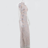 Sleeveless, stand up collar, Sequin, embroidered dress