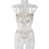 Sexy underwear, embroidery, net cloth, flower embroidery, bow set