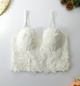 Lace, embroidery, suspender, fishbone bra, solid color