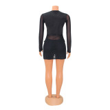 Mesh, perspective, square neck, splicing, long sleeve two piece set