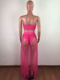 Pleated, mesh, perspective, chest wrap two piece set