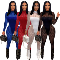 Mesh, stripe, stitching, perspective Jumpsuit