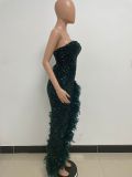 Bra, backless, Sequin, feather dress