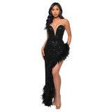Bra, backless, Sequin, feather dress