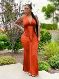 Nightclub, V-neck, gift dress, solid color pleated skirt