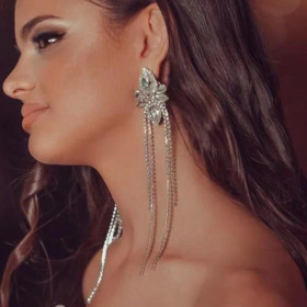 Super flash claw chain, alloy, diamond, flower, Tassel Earrings