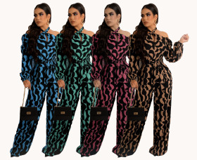 Leopard print, color jumpsuit, bib, lace up jumpsuit