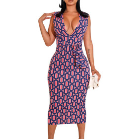 Printed, sleeveless, V-neck, dress