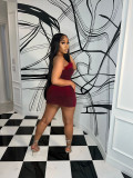 Velvet, shiny fabric, fur edge, dress, small dress
