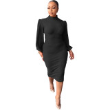 Casual, long sleeve, slit, round neck dress