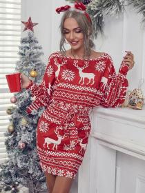 Christmas print, long sleeve, casual dress