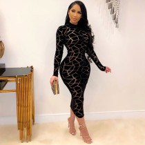 Print, mesh, round neck long sleeve, large dress