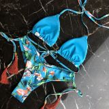 Swimwear, bikini, print, tassel, strapping swimsuit