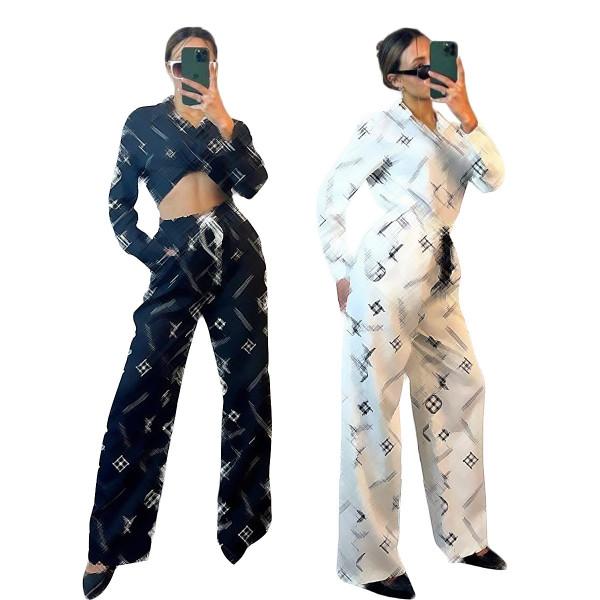 Temperament casual women's suit (pants with elastic belt)