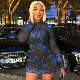 Mesh Perspective Dress Standing Neck Long Sleeve Print Wrapped Hip Skirt