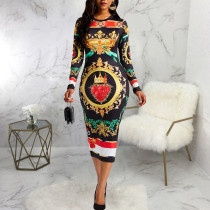 Printed long sleeved round neck women's dress