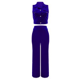 Solid Polo Neck Vest Set Casual High Waist Two Piece Set