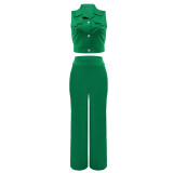 Solid Polo Neck Vest Set Casual High Waist Two Piece Set