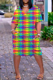 Oversized Loose 3D Print Multi Color Dress
