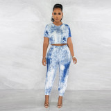 Round neck short sleeved elastic waist pants printed two-piece set