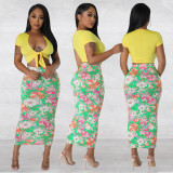 Printed short sleeved women's two-piece dress set