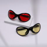 Large Oval Y2K Fashion Sunglasses