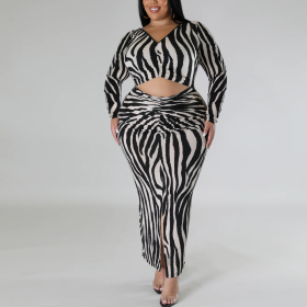 Zebra print two piece long sleeved dress