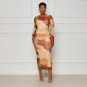 Tight and Elegant Mesh Abstract Printed Long Sleeved Dress Set
