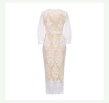 Elegant Slim Fitting Dress with Mesh Sleeves and Lace Lining