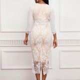 Elegant Slim Fitting Dress with Mesh Sleeves and Lace Lining