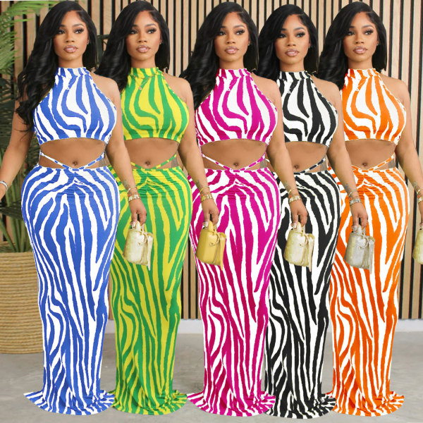 Striped Long Skirt Two-piece Set