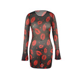 Red Lip Printed Perspective Mesh Dress