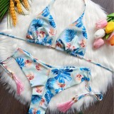 Printed Split Bikini Swimsuit