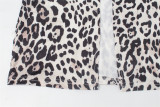Leopard Print Long Sleeved High Waisted Spicy Girl Slit Dress